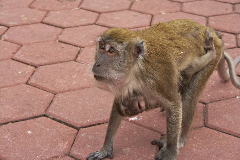 Какой взгляд ))) Какой взгляд )))